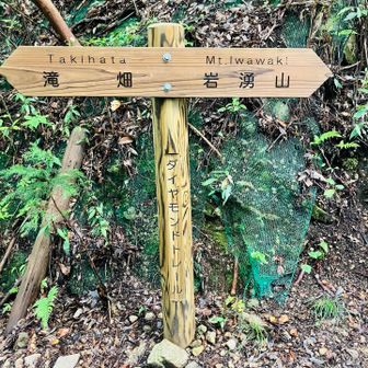 看板も綺麗になってる？