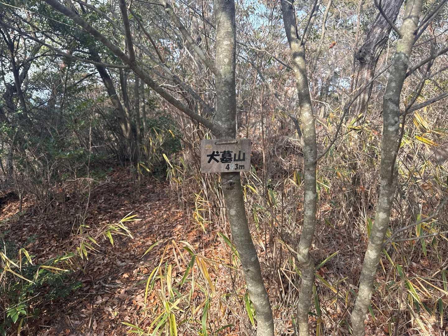 鬼城山ビジターセンター登山口-鬼城山-犬墓山 周回コースの写真