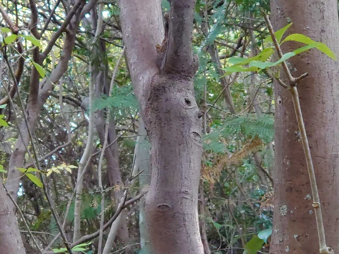 カカ:カワイイ男の子発見👀✨
トト:とりあえず撮っとく？🤔