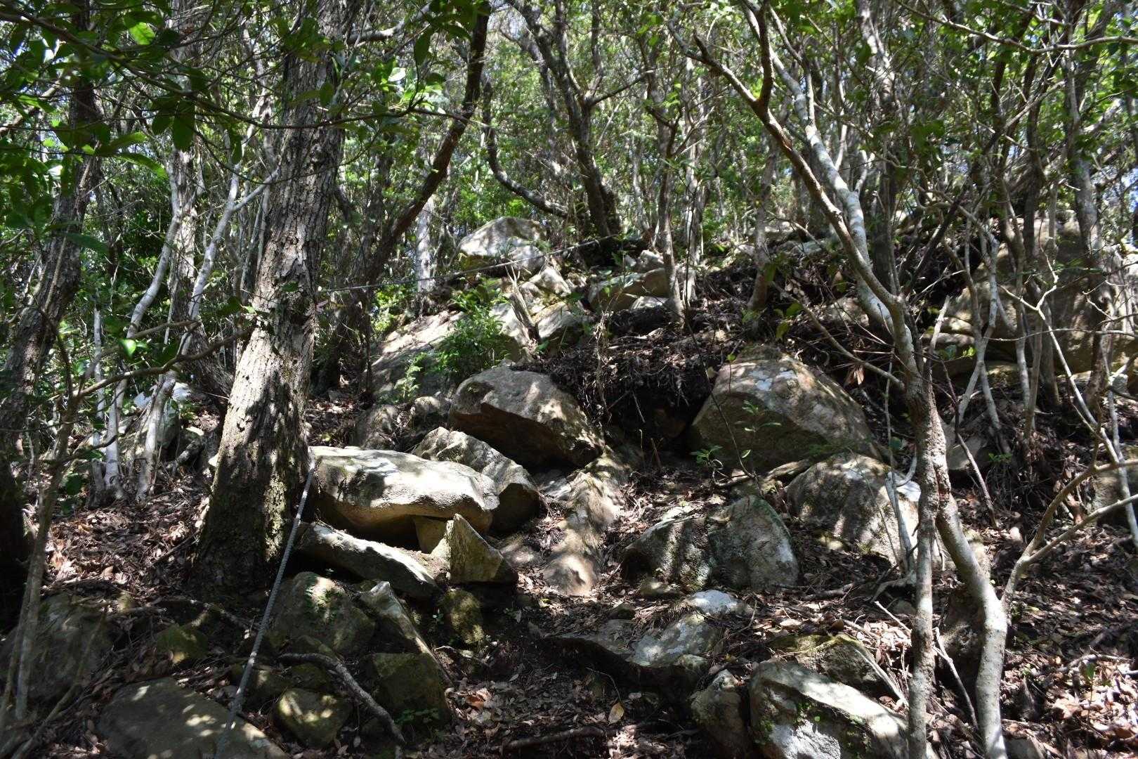 岩が出てきた。