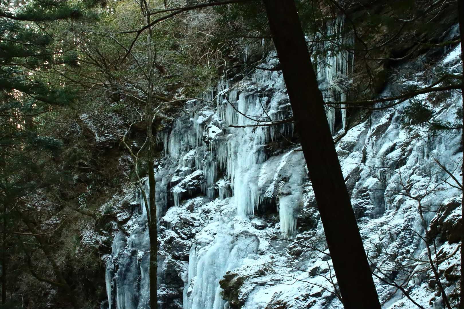 富士見岳-駒引峠 周回コースの写真