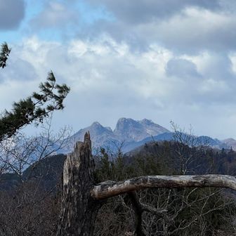 ここから二子山がきれいに見れます👀