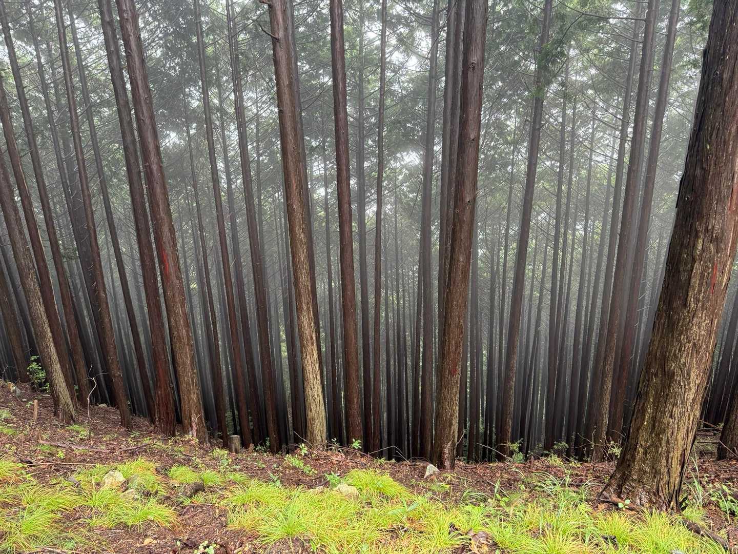 なにやら、獣の唸り声　😱