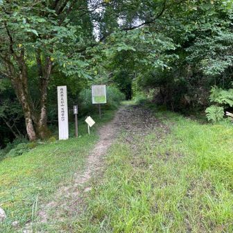 すぐに登山口