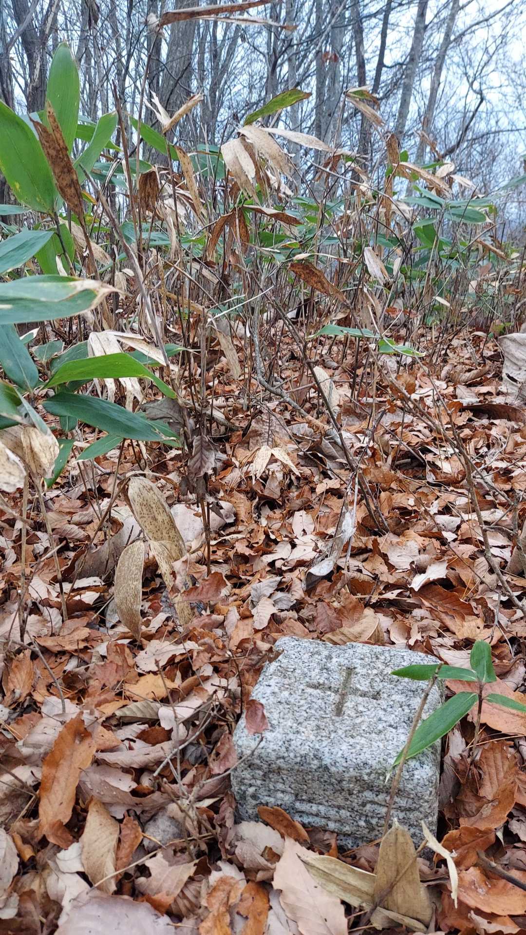 上ノ沢山の▲