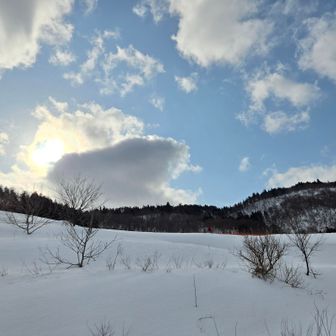 厳寒期に青空見ると、なぜか心も晴れ晴れ☀️