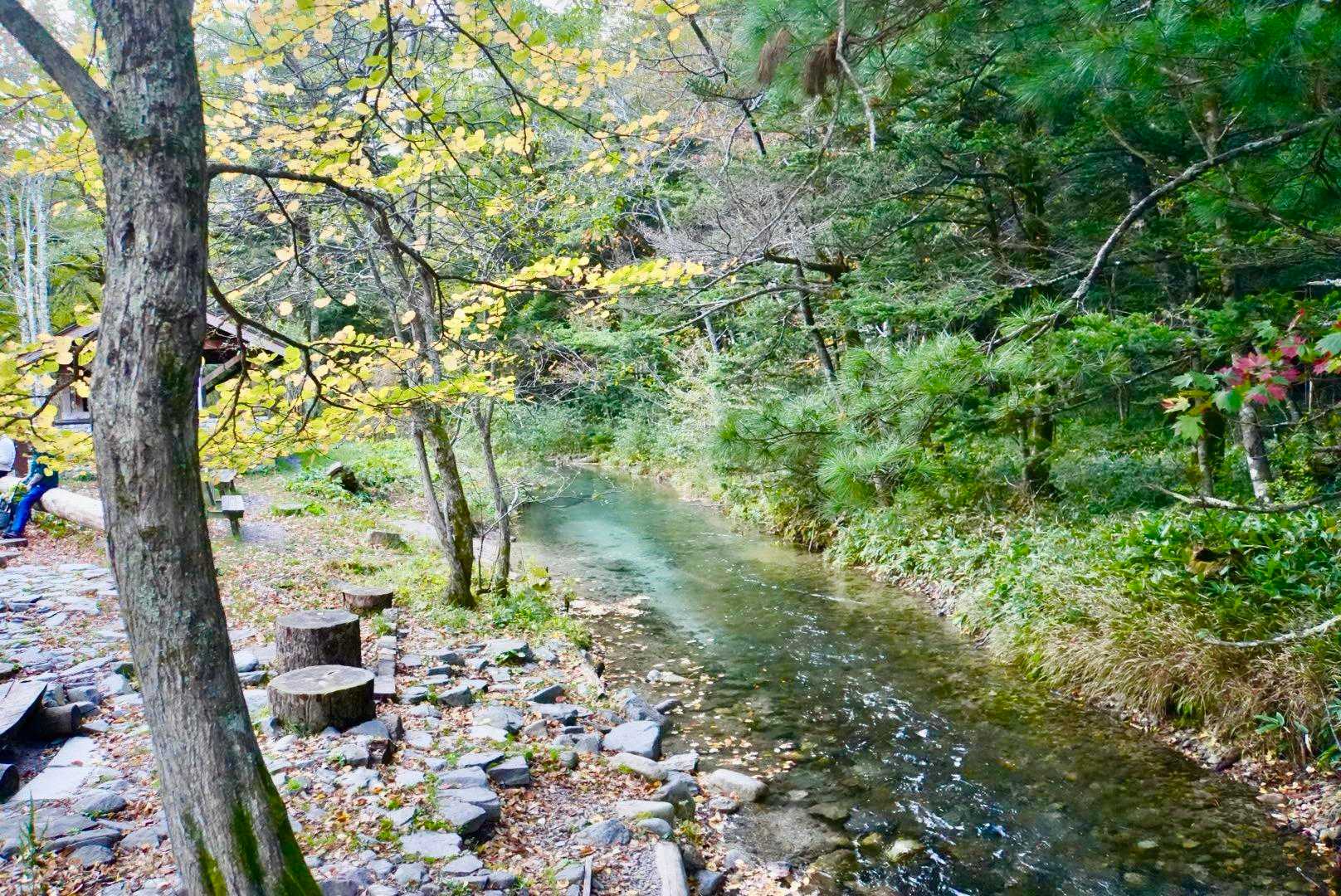 徳澤に到着😊