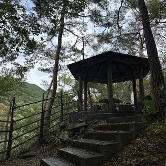 展望はどうだろねー