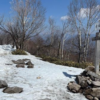 雪がまだ残っていた
ザクザクと歩くのは愉しい