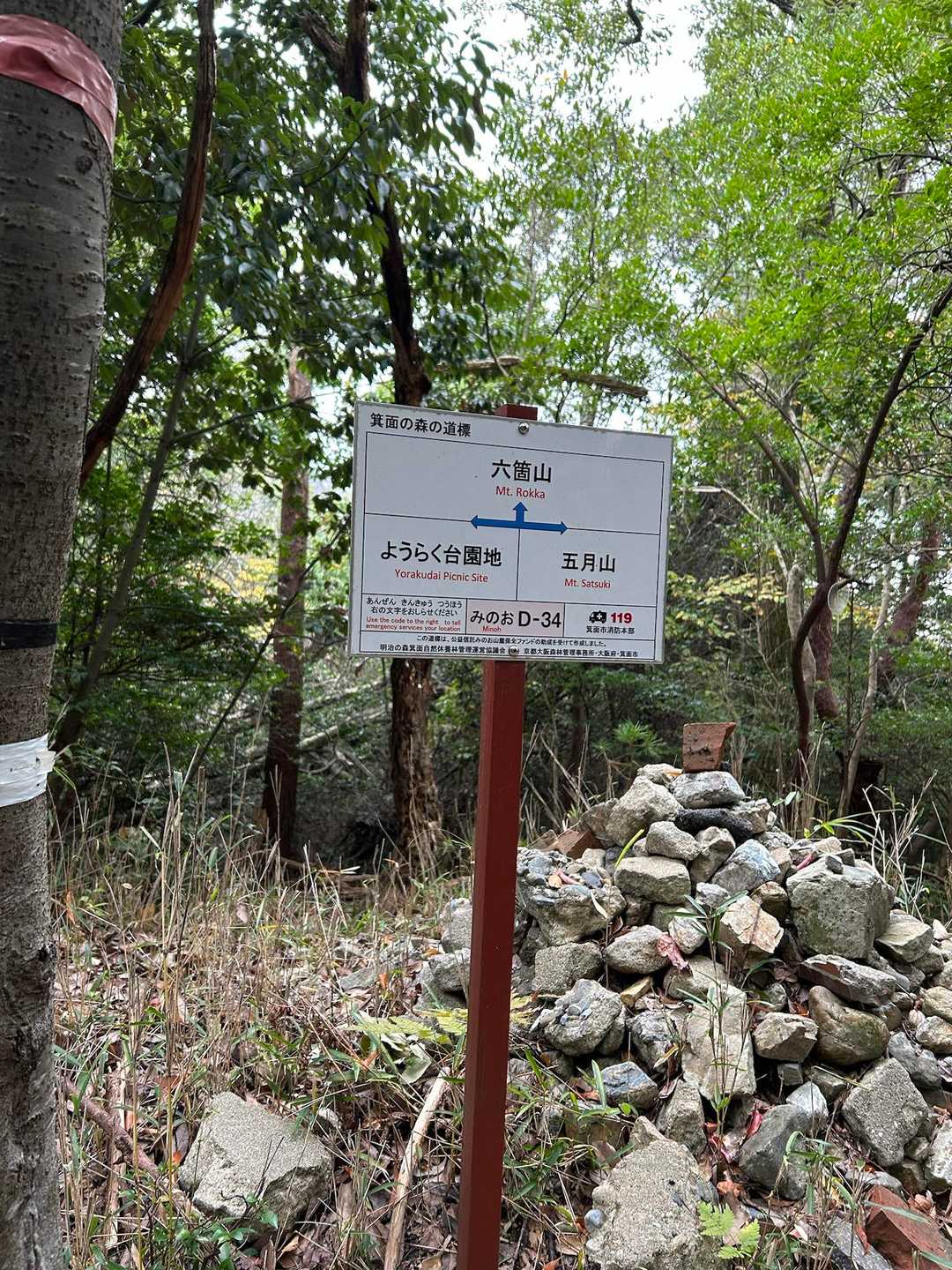ここの分岐見逃し注意！