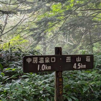 第一ベンチ