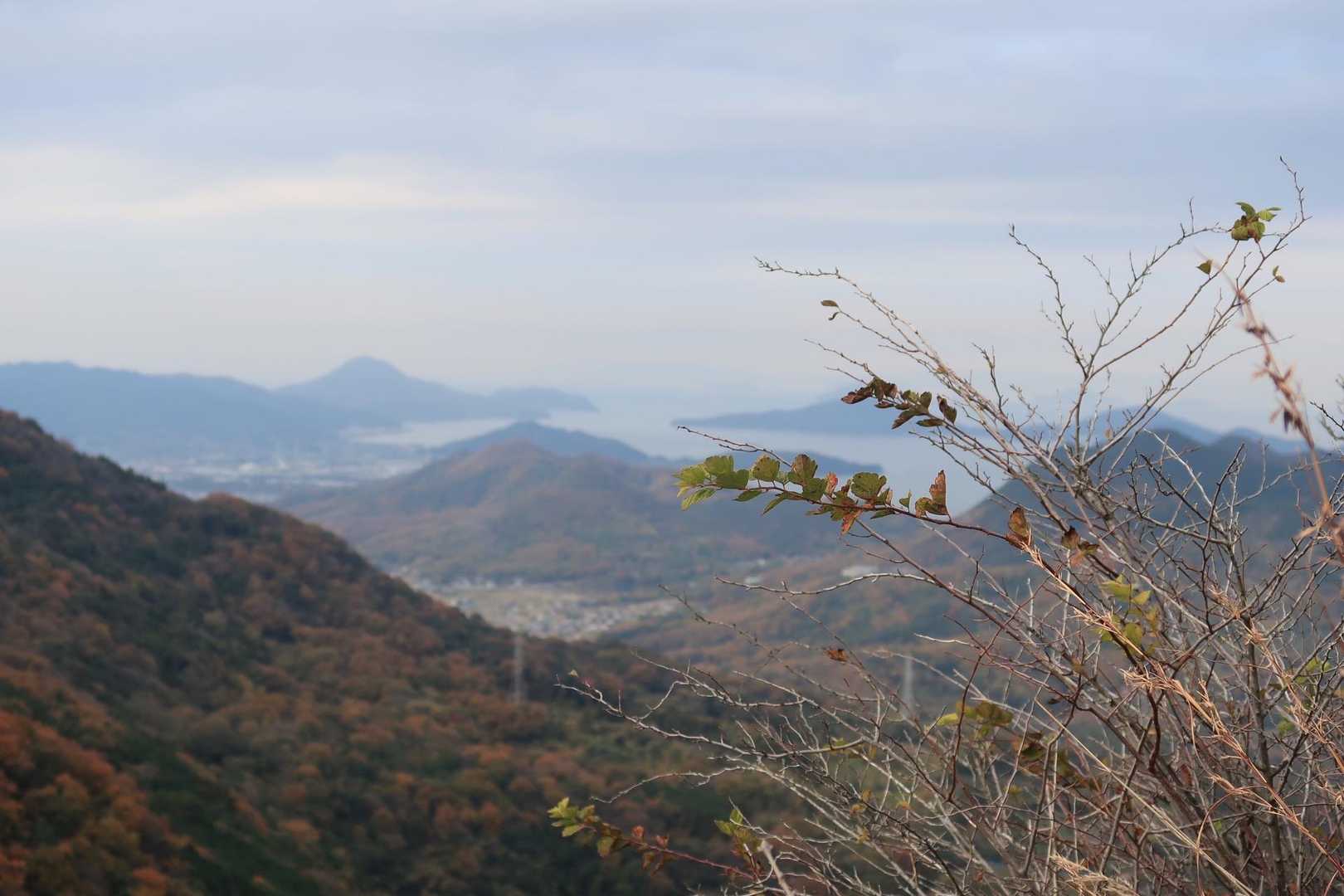良い眺め