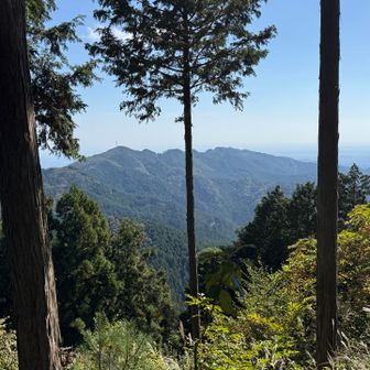 やっとここで展望あり