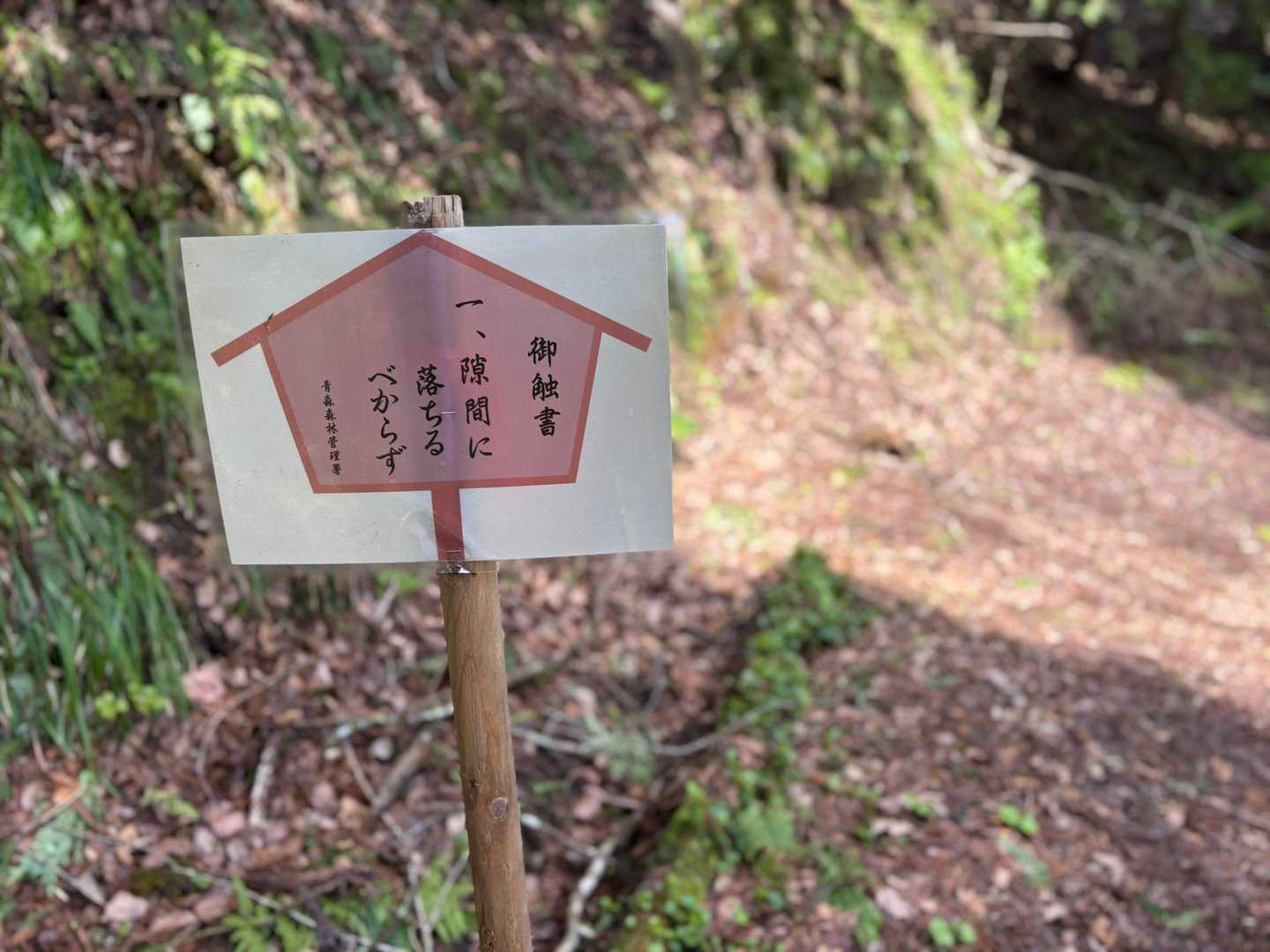 先に探して見つけておいて
あとでご案内しよう
（そんな甘くはなかった）