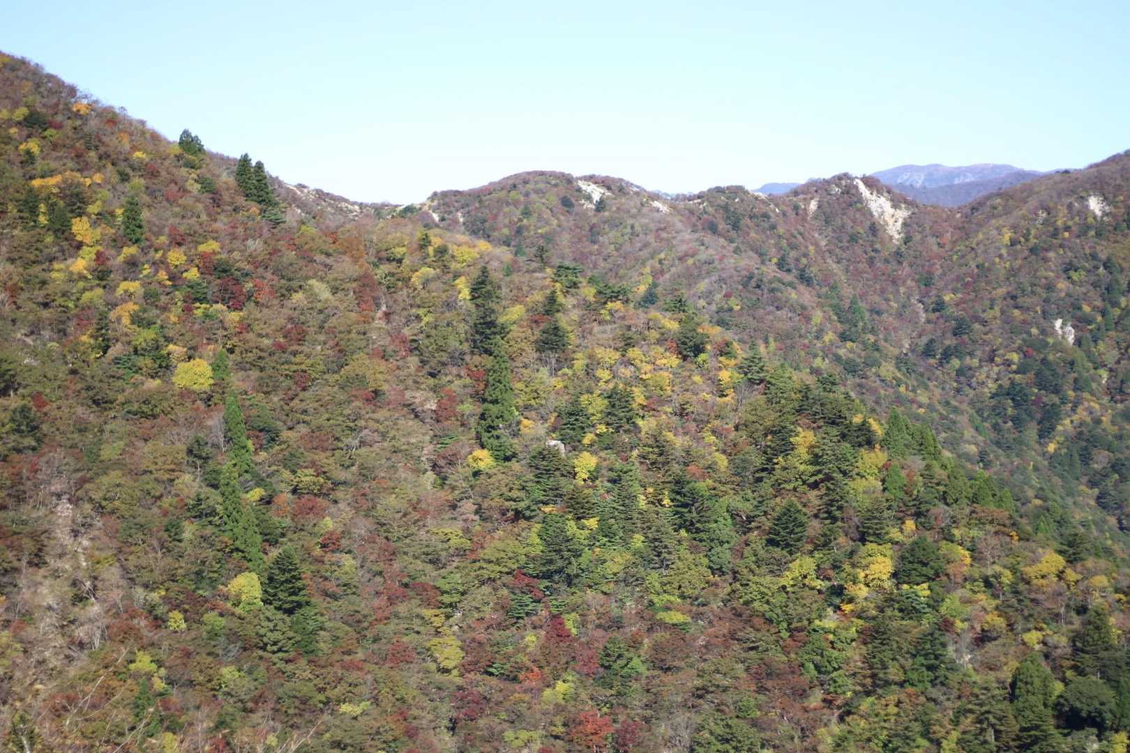 北山-岩ヶ峰-釈迦ヶ岳-仙香山-北仙香山-三池岳 周回コースの写真