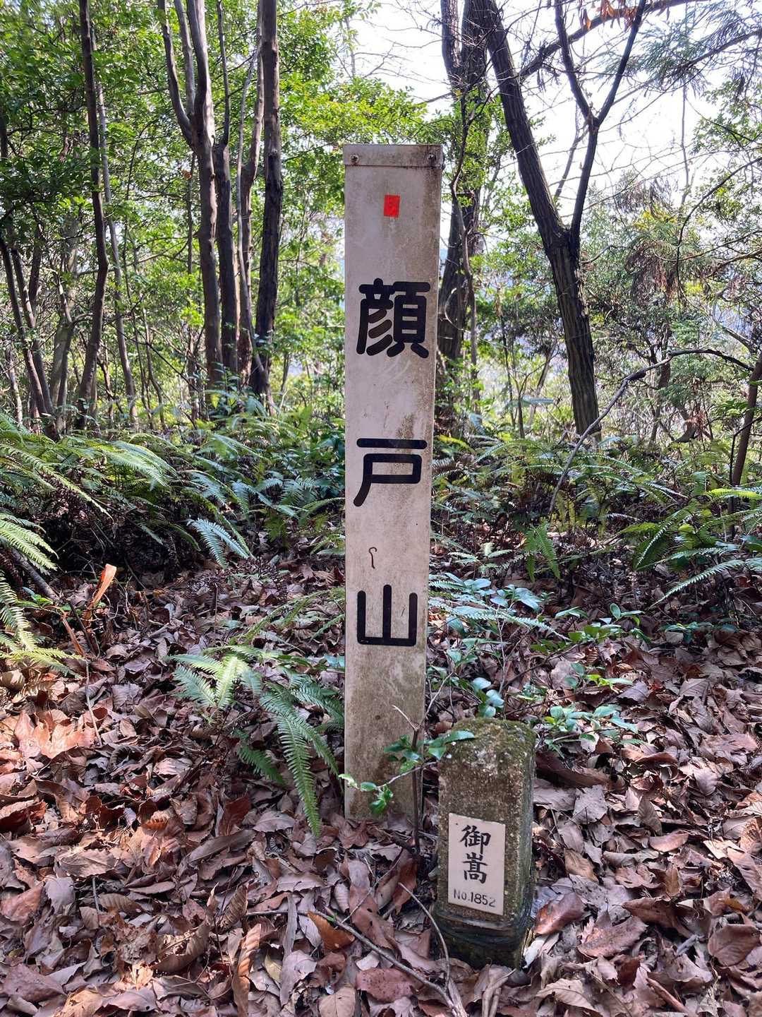 顔戸山到着です〜⛰️250㍍、眺望なし