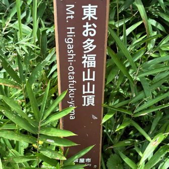 笹よけて  写真とる