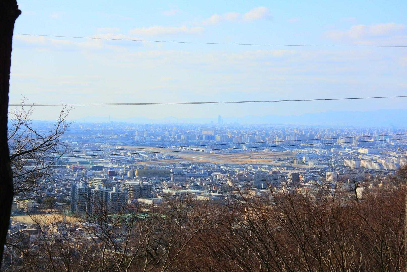 八尾空港見えるで〜しかし!やっさん、八尾空港で飛行機持ってたで。しかし!