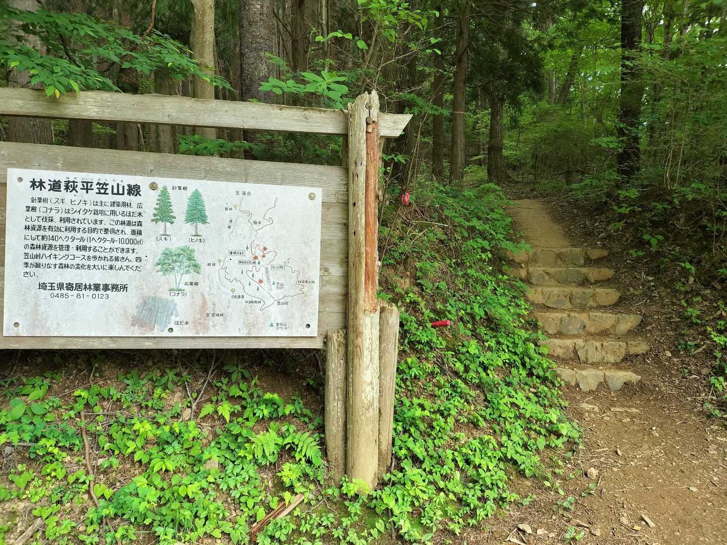 なんか所々懐かしい！大会は無いけど、七峰縦走 冬にやろうかな〜
