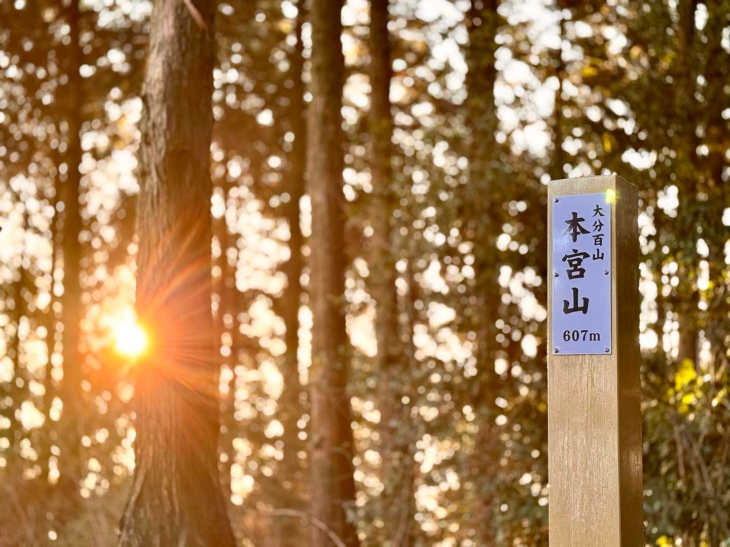 本宮山登頂です☺️
山標が新しくなってました✨