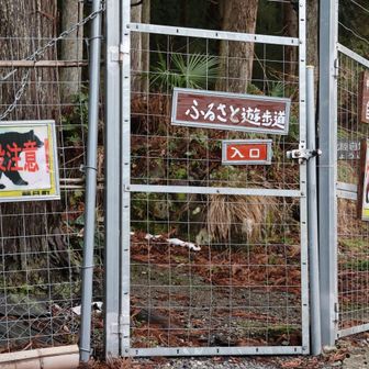 出入口はこちら　雪無し