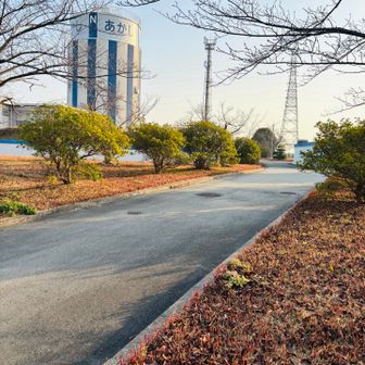 中には入れませんでした。
金ヶ崎山。二等三角点　金ヶ崎。見れず。😢