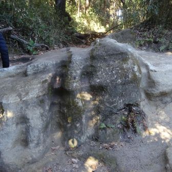 下りでも、山道の感触を楽しみました。
