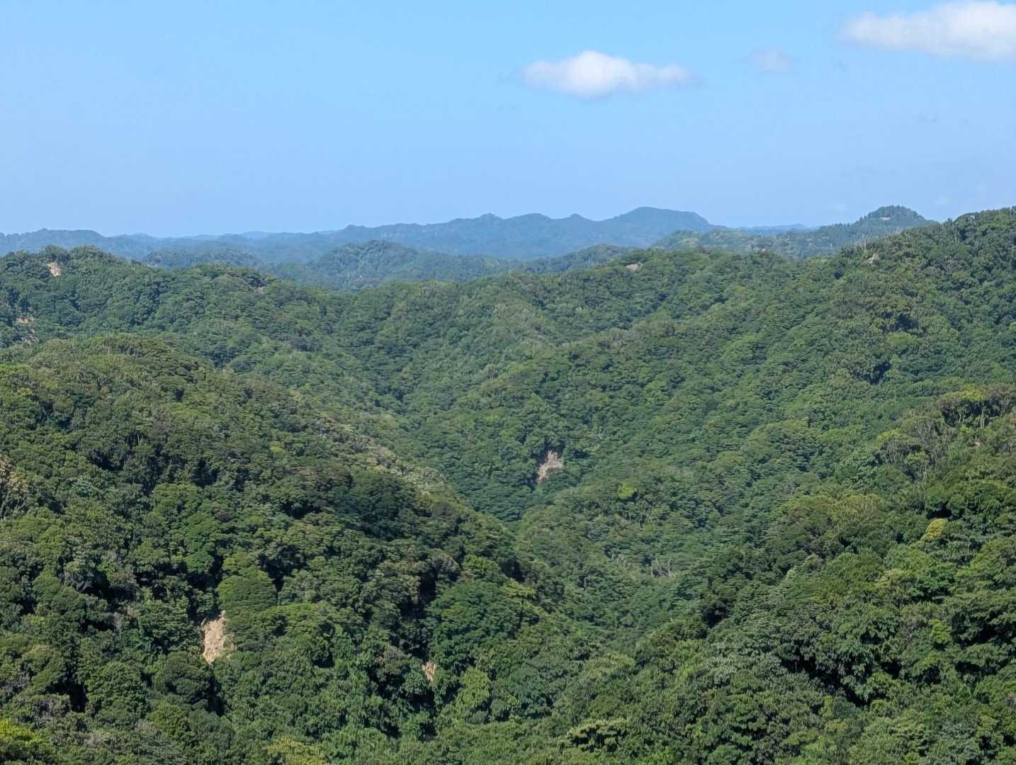 鎌倉古道 大塚山・三浦三良登山口-三浦三良山 周回コースの写真