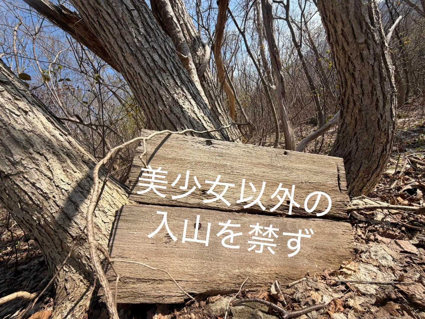 我々今日もたまたま美少女だったのでセーフでした