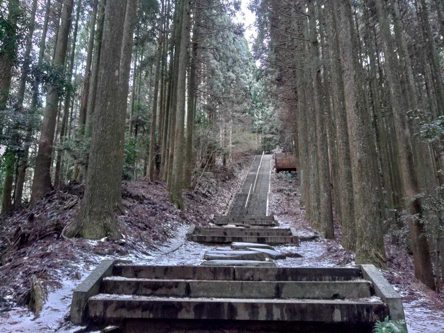 白くなってきたー。