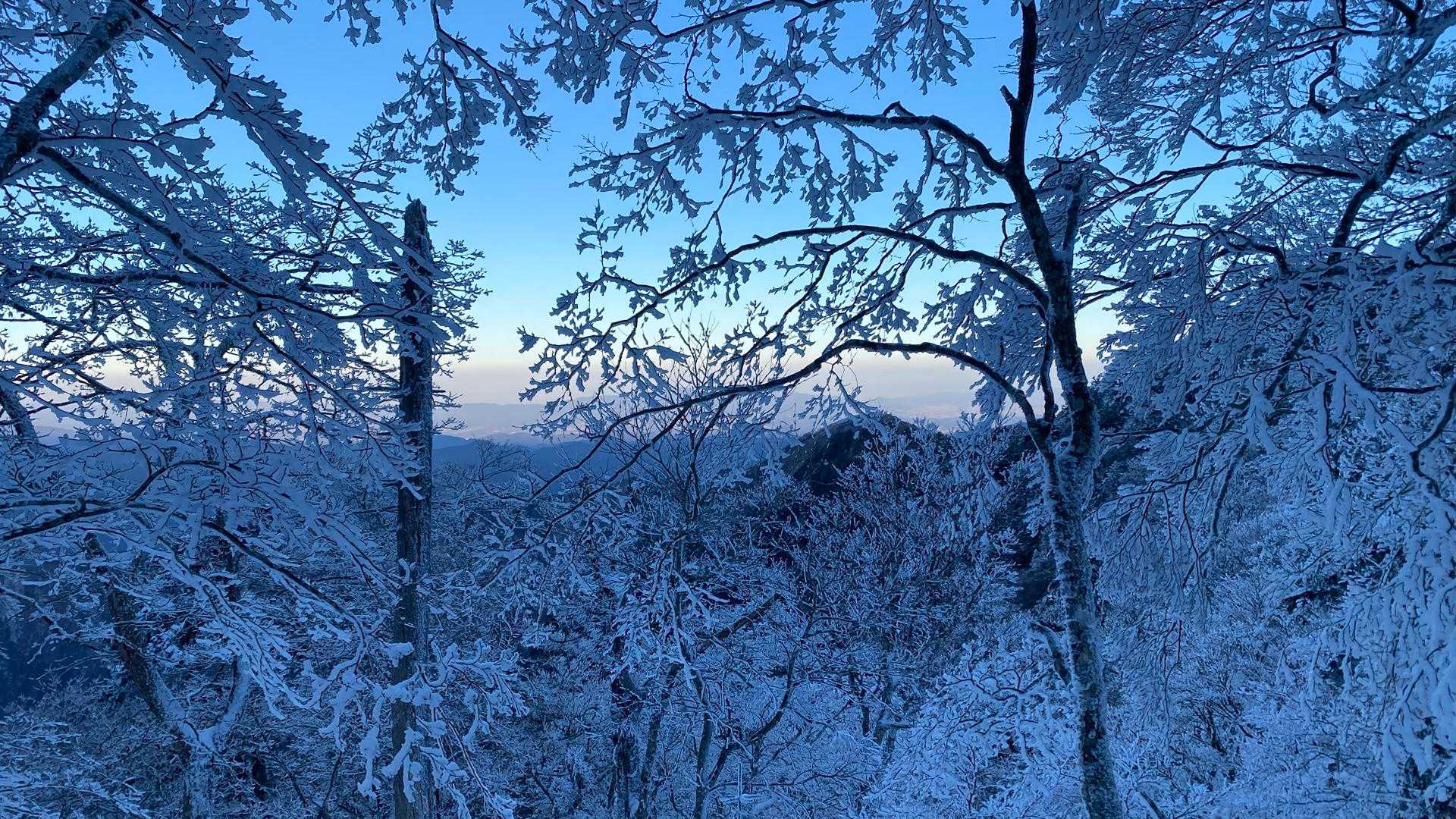 熊渡登山口-細尾山-八経ヶ岳-弥山 往復コースの写真