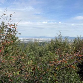 正面に見えるのは蓬莱山らしい。