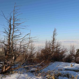 前鉢伏山山頂1836m