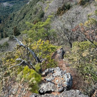 ここまで来て、降りる場所が不明。
一歩引いたところ右の方に降りましたが、鎖場もロープもなくドキドキ。
無事登山道に戻れました😮‍💨