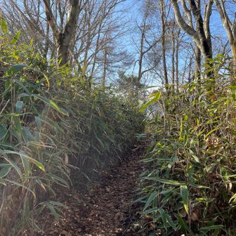 一ノ砂ノ沢ノ頭らしいです