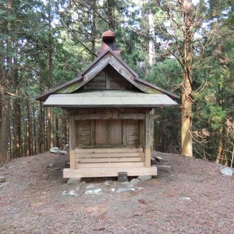 山頂にある祠。ちゃんとお参りしてきました。