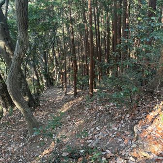 セブンサミッツを思い出す

下ったり登ったりを何度も繰り返す道
