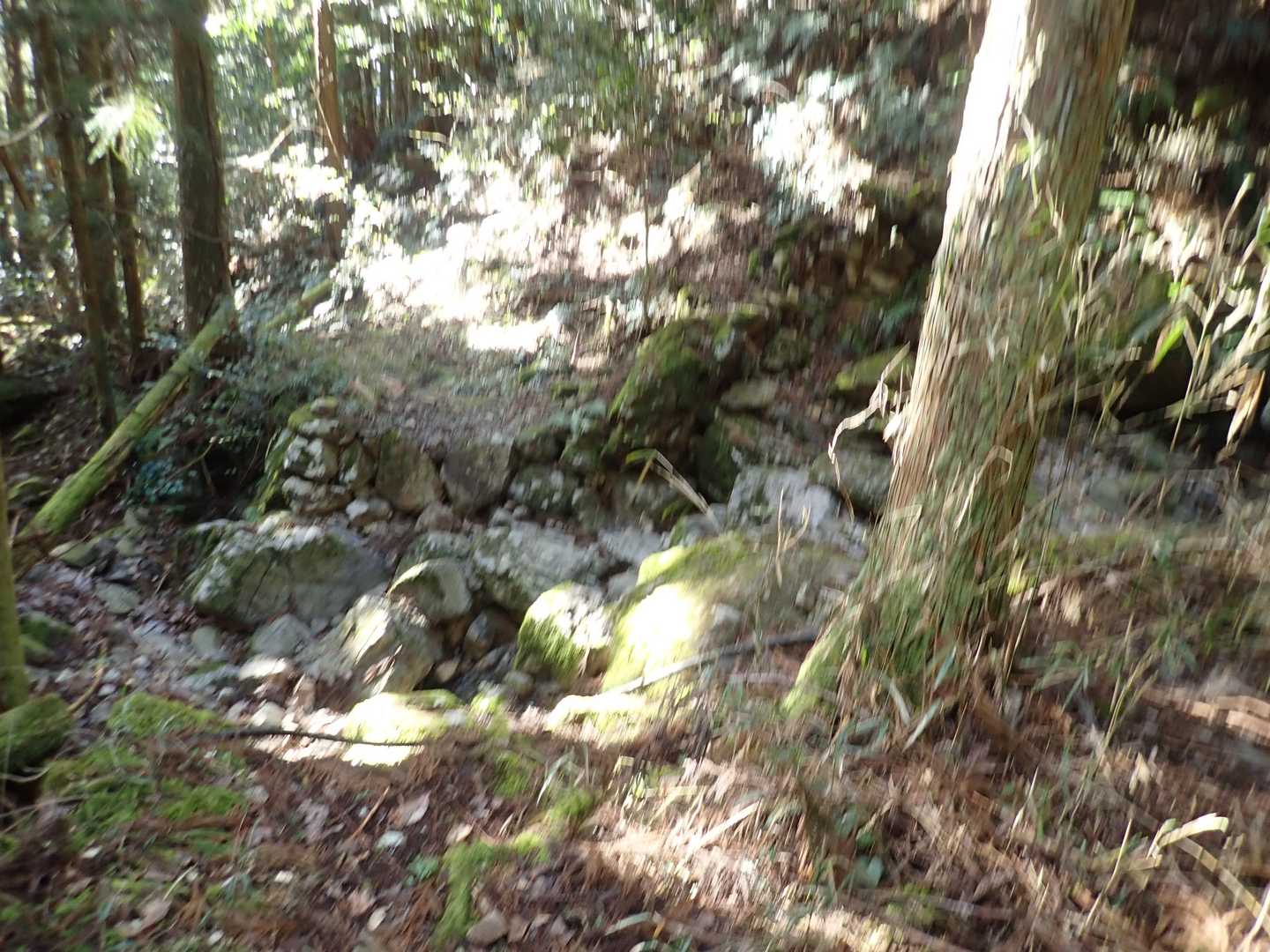 涸れ沢を越えます