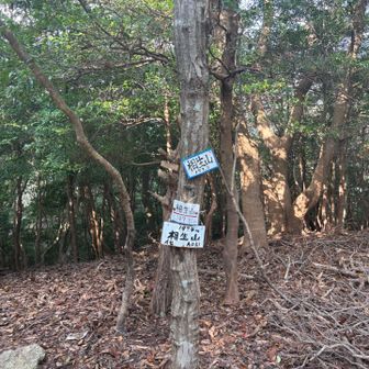 相生山⛰️
眺望なし！