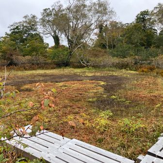 木平湿原、小さい