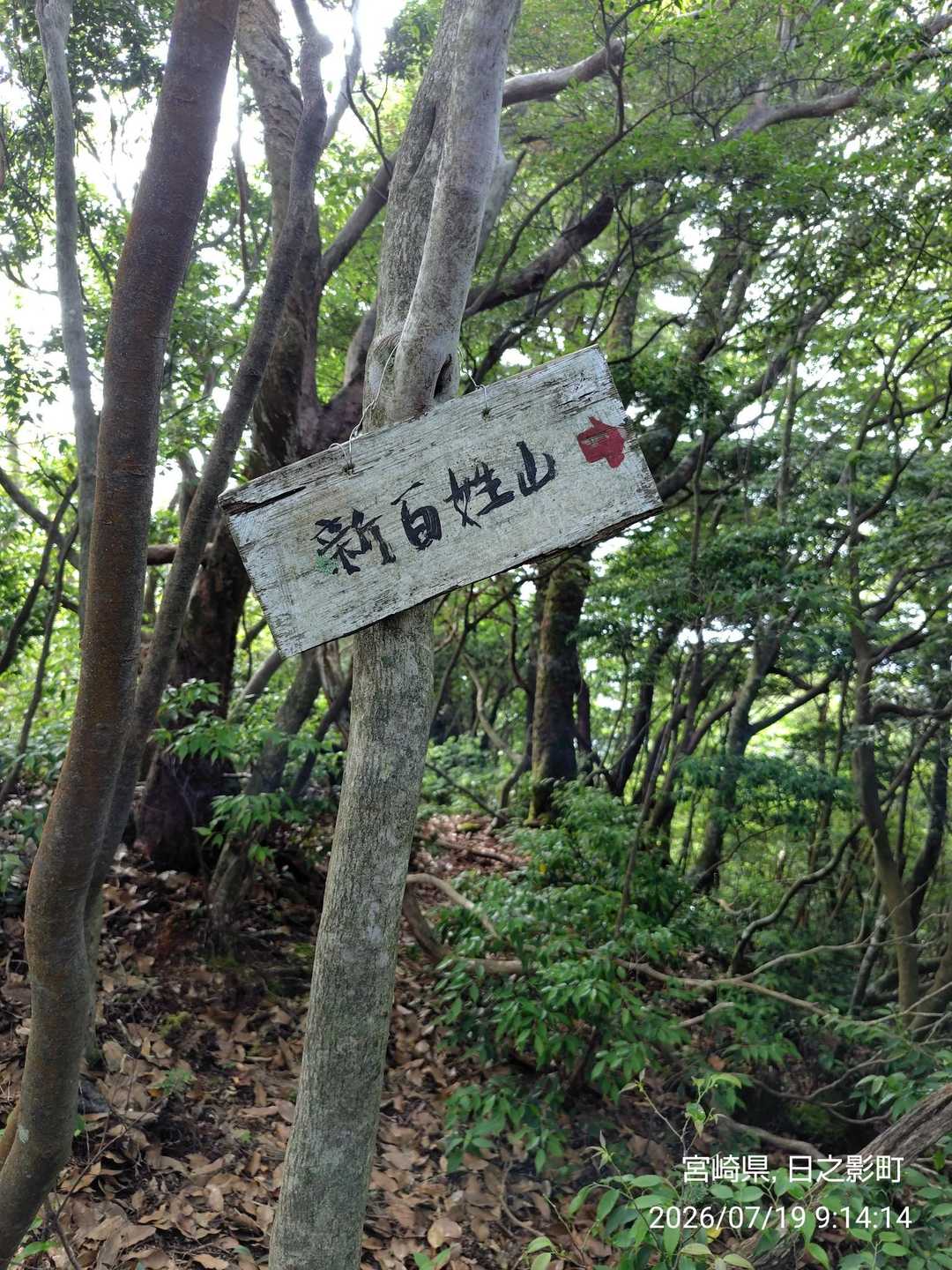 杉ヶ越-新百姓山 往復コースの写真