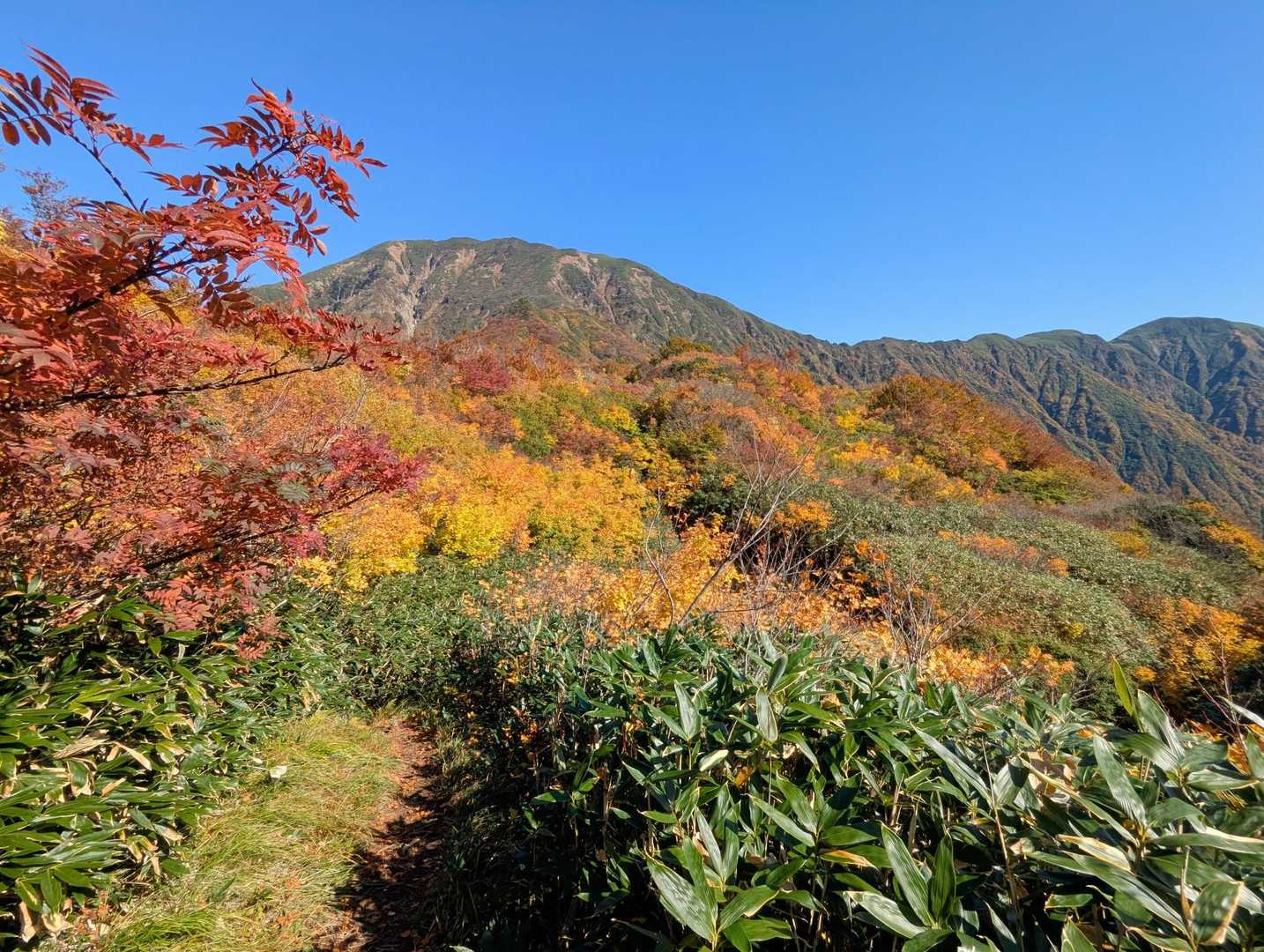 中ノ岳（十字峡登山センター）の写真
