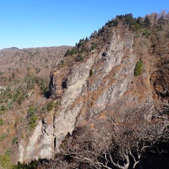 誰か登ってるのかな🧗？声が聞こえる｡
蒸篭嵓(せいろぐら) ブッシュマン｡
140m､6Pと短くクライミング初心者におすすめマルチピッチルート｡