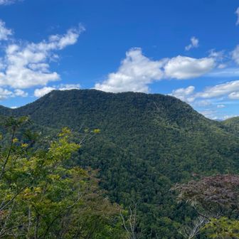 目の前に盤の沢山
