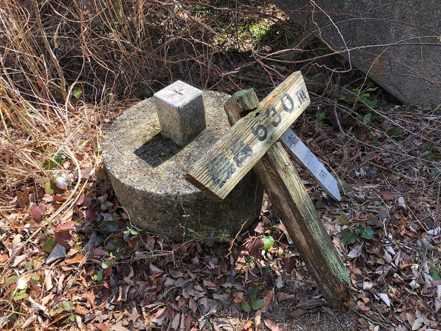 五ケ山山頂