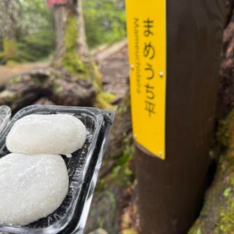 豆大福