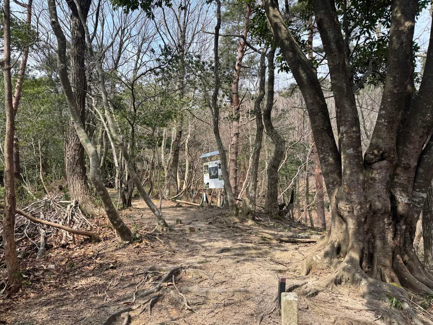 さ、ここから登山開始です💪
