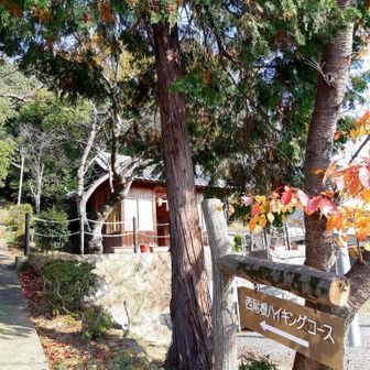西尾根コースの登山口に戻ってきました。