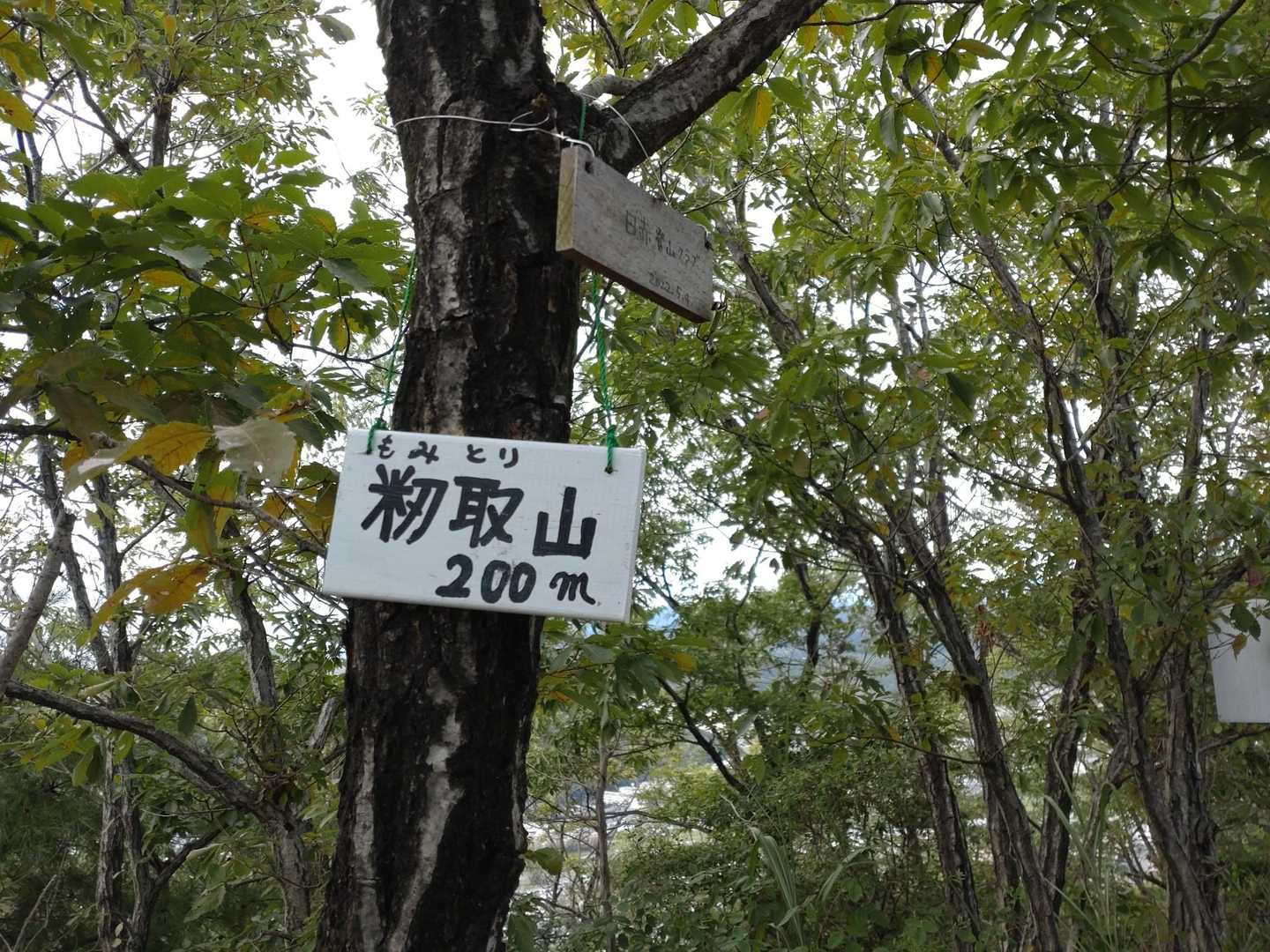 『籾取山』到着〜
眺めナシナシ太郎です！