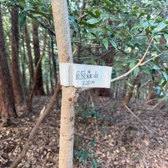 飯森山山頂

道を誤って崩れまくってる斜面から山頂に登ることとなり悲惨